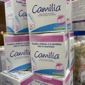 Camelia